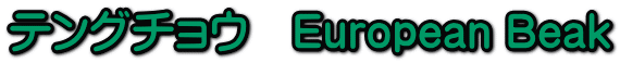 eO`E@European Beak